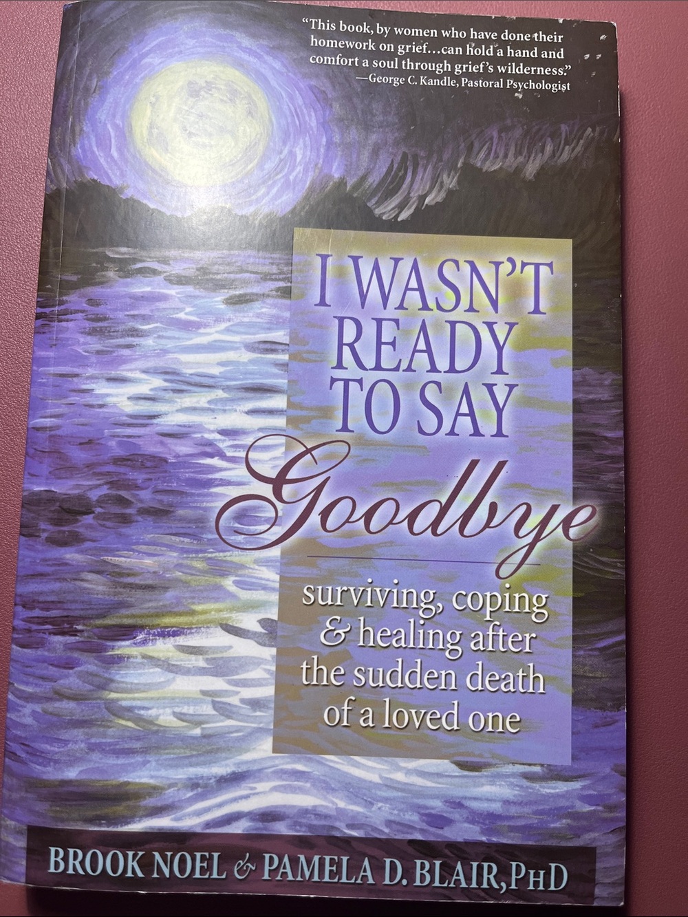 I Wasn’t Ready to Say Goodbye —  paper back book